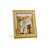 metal photo frame